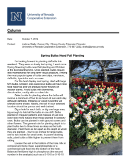 JoAnne Skelly Columns, October 2014