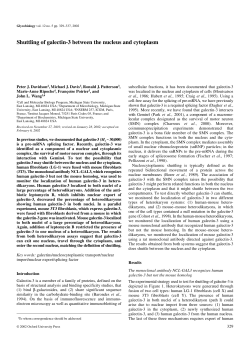 Shuttling of galectin-3 between the nucleus and