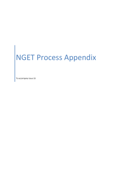 NGET Process Appendix