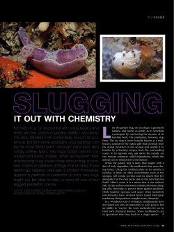 it out with chemistry