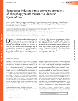 Senescence-inducing stress promotes proteolysis of