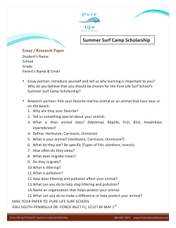 To  - Pure Life Surf School