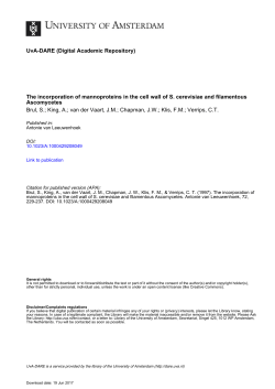 The incorporation of mannoproteins in the cell wall of S - UvA-DARE