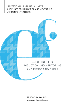 guidelines for induction and mentoring and mentor teachers