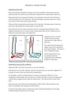B2 Adaptations