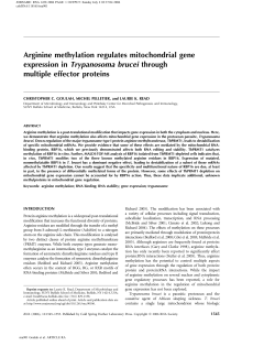Arginine methylation regulates mitochondrial gene expression in