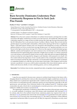 Burn Severity Dominates Understory Plant Community Response to