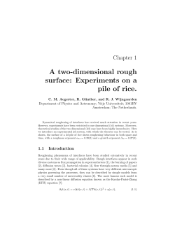 A two-dimensional rough surface: Experiments on a pile of rice.