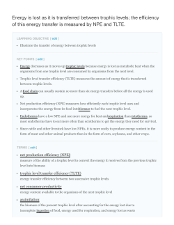 Energy is lost as it is transferred between trophic levels