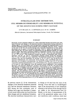 intracellular ionic distribution, cell membrane permeability and