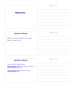 Chapter 8 Metabolism