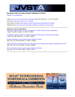 Dynamics of the ion beam induced nitridation of silicon