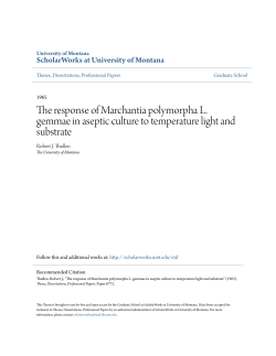 The response of Marchantia polymorpha L. gemmae in aseptic