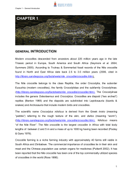 chapter 1 - University of Pretoria