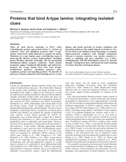 Proteins that bind A-type lamins - Journal of Cell Science