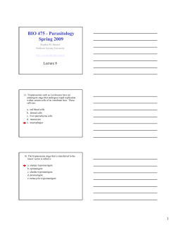 Lecture 8 - Northern Arizona University