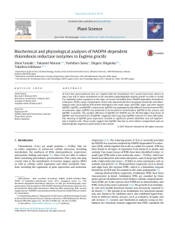 Biochemical and physiological analyses of NADPH