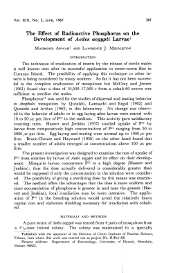 The Effect of Radioactive Phosphorus on the