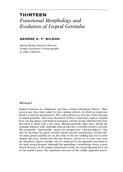 THIRTEEN Functional Morphology and Evolution of Isopod Genitalia