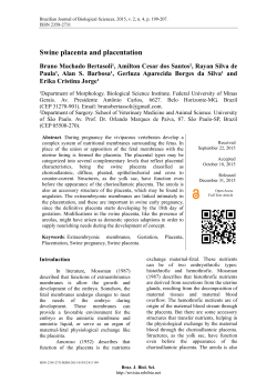 Swine placenta and placentation - Brazilian Journal of Biological