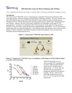 ADP Detection Assay for Diverse Kinases and