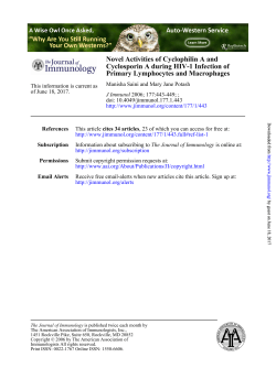 Primary Lymphocytes and Macrophages Cyclosporin A during HIV