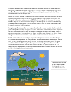 Nitrogen cycle - elementaryscienceteachers