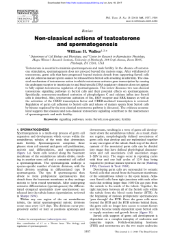 Review Non-classical actions of testosterone and
