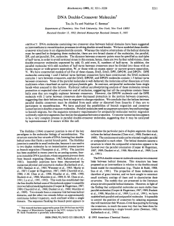 DNA Double-Crossover Molecules?