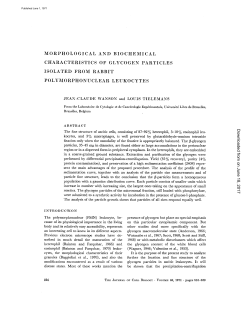 morphological and biochemical characteristics of glycogen particles