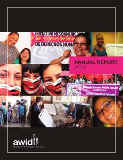 AWID Annual Report 2013