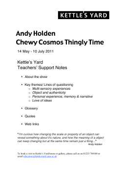 Andy Holden Chewy Cosmos Thingly Time