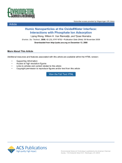 Interactions with Phosphate Ion Adsorption