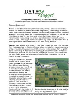 Student activity, Graph Type B, Level 3