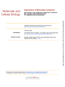 Organization of Mammalian Cytoplasm