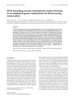 DNA barcoding reveals extraordinary cryptic diversity in an