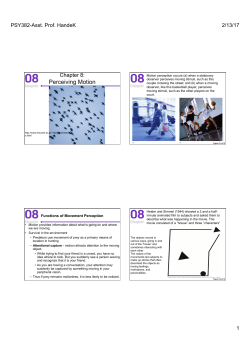Perceiving Motion