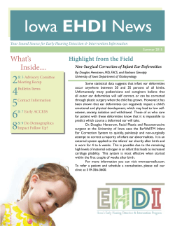 Iowa 2013 Annual Report