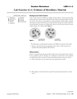 Lab Exercise 4.1.1: Evidence of Hereditary Material