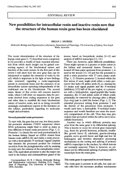 New possibilities for intracellular renin and