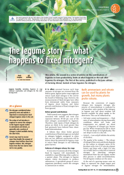 The legume story &mdash; what happens to fixed nitrogen?