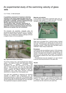 September 2009 - An experimental study of the swimming velocity of