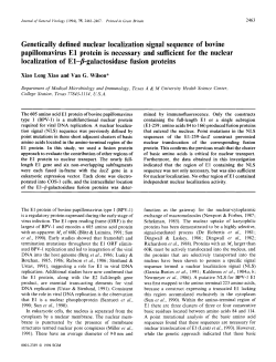 Genetically defined nuclear localization signal sequence of bovine