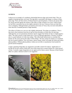 LICHENS Lichens are an example of a symbiotic relationship