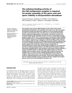 The cellulose-binding activity of the PsB multiprotein