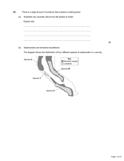 Q1. There is a large amount of evidence