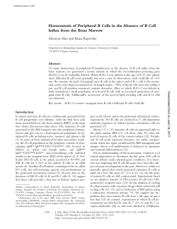 Homeostasis of Peripheral B Cells in the Absence of B Cell