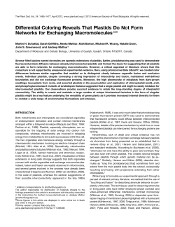 Differential Coloring Reveals That Plastids Do Not