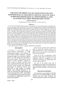 the role of green tea on starvation induced morphological