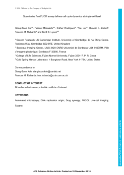 Quantitative FastFUCCI assay defines cell cycle dynamics at single